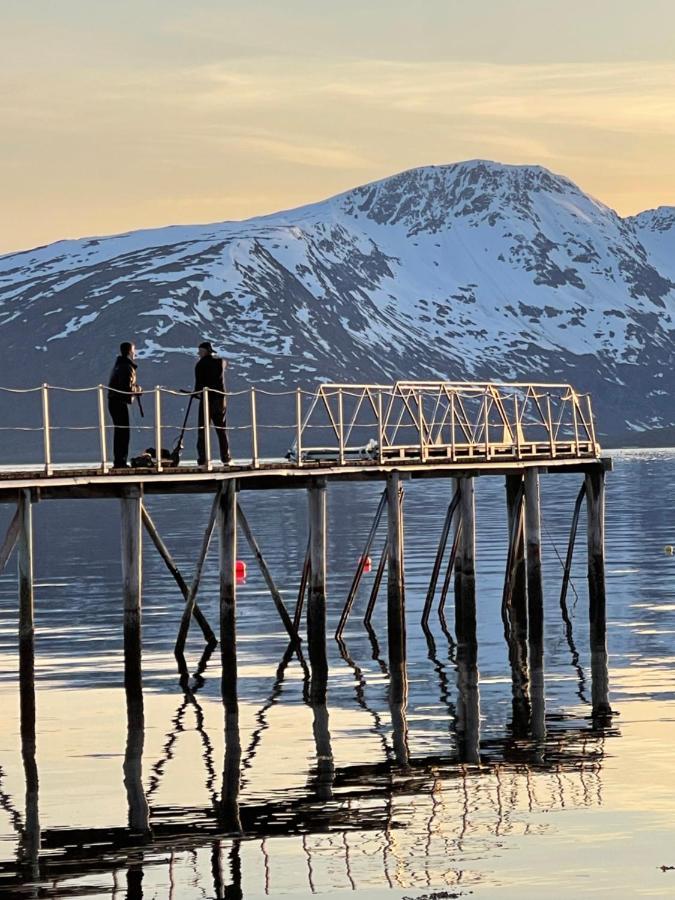 Skittenelv Lodge & Camping Tromso Exterior photo
